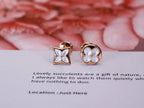 GlowSTAR AND SUN PINK GOLD MOP STUD EARRINGS